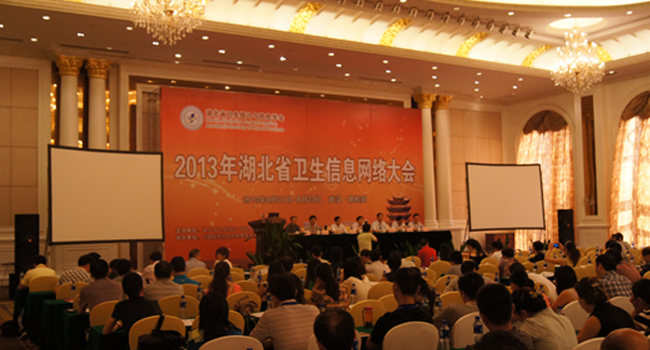 2013湖北省衛(wèi)生信息網(wǎng)絡(luò)大會