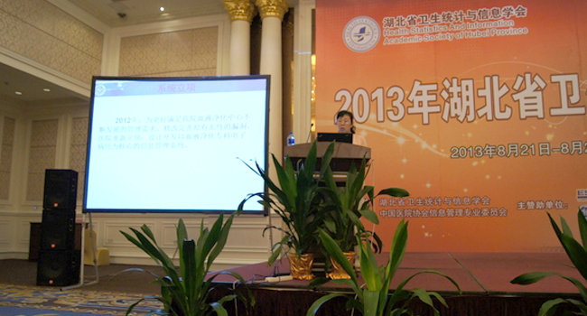 2013湖北省衛(wèi)生信息網(wǎng)絡(luò)大會